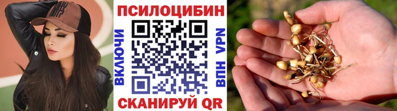 гидра зеркало продажа наркотиков Яхрома Псилоцибиновые грибы Psilocybine cubensis